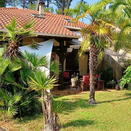 Maison Candide 3 1 Mezzanine Casa de Férias Capbreton